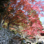 紅葉の筑波山神社で七五三詣り