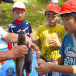 自然の中で自然を学ぶ！桜川稚魚放流及び魚捕り体験！