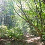 筑波山の森について学ぼう！広根場林道と筑波山自然展～後編～