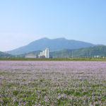 春の筑波山の風景