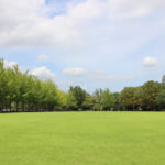 秋のピクニックにおすすめ♪TX沿線の芝生広場が気持ちいい公園