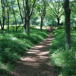 新緑の高崎自然の森へ～アジサイ、スイレン、ハナショウブの小路～