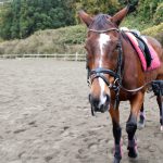 筑波山麓で乗馬体験