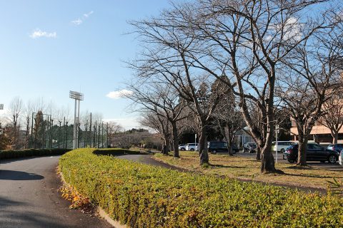 スリル満点 さくら運動公園で芝すべり 子どもを育む街 つくばスタイルblog