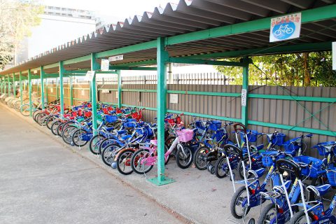 自転車の練習だけじゃない！楽しみ方いろいろ「さくら交通公園 