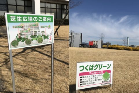 つくばは日本最大の の産地 子どもを育む街 つくばスタイルblog